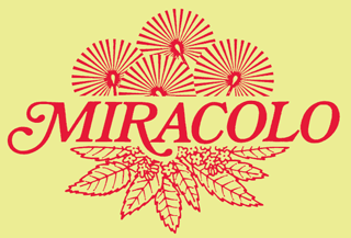 Miracolo